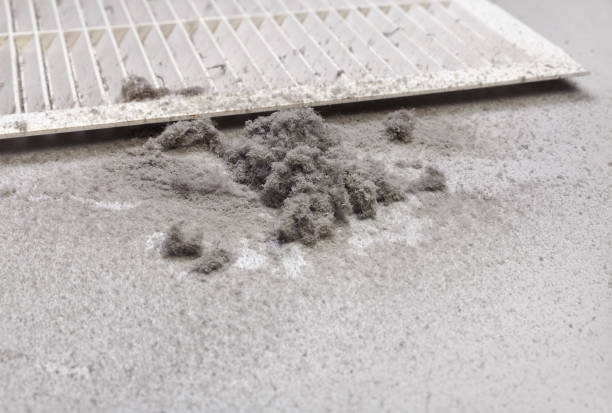 Best Air Duct Cleaning Near Me  in Hill N Dale, FL