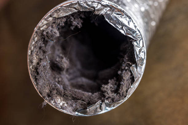 Best Air Duct Cleaning Near Me  in Hill N Dale, FL