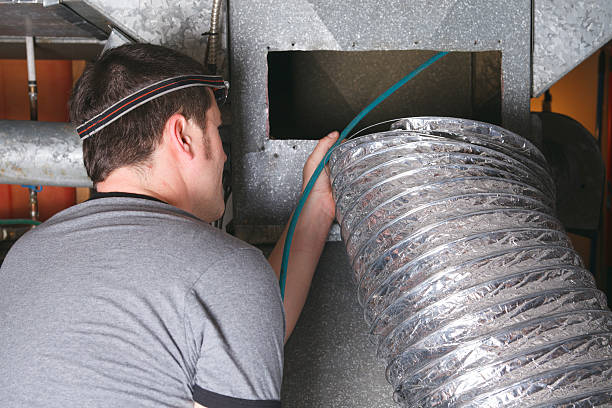 Best Air Duct Mold Removal  in Hill N Dale, FL